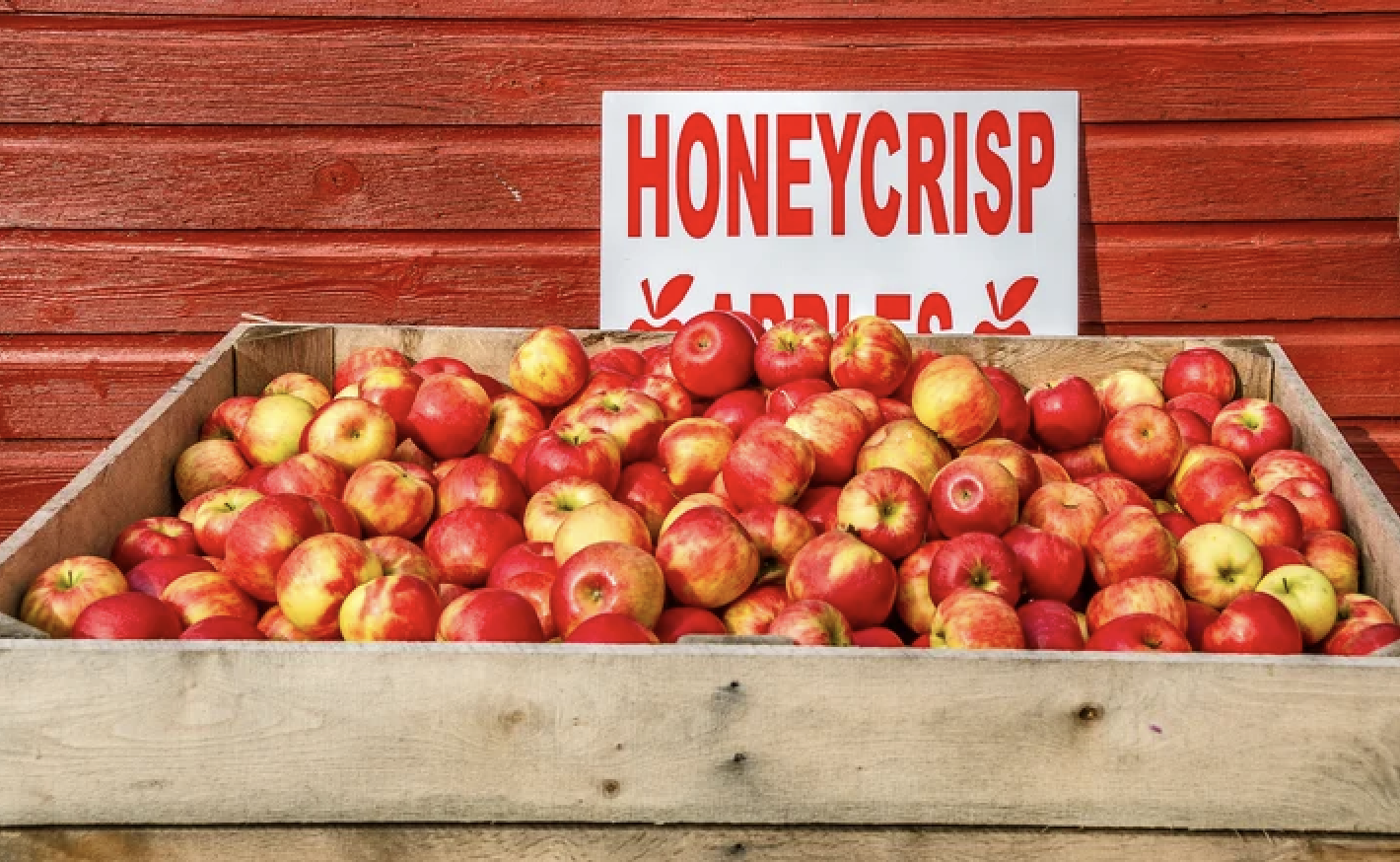 HoneyCrisp